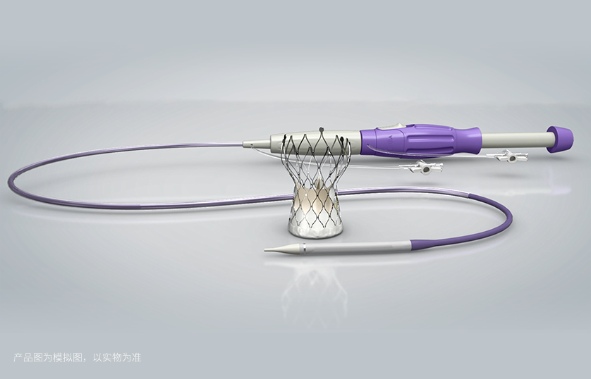 TaurusOne?经导管自动脉瓣系统